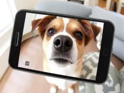 What is the Furbo Dog Camera