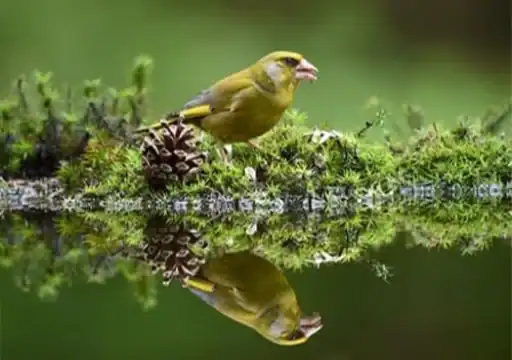 Diving Deeper into Image Quality