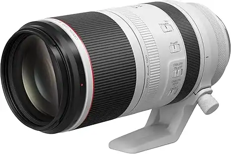 Who is the Canon RF 100-500mm For