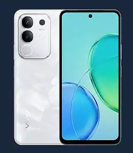 Display Technology and Visual Experience