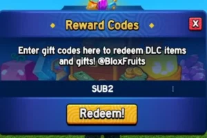 Common Issues When Entering Codes
