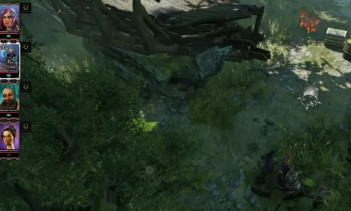 Finding Feder: The Transformed Pig