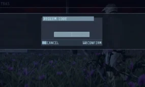 Descenders Codes